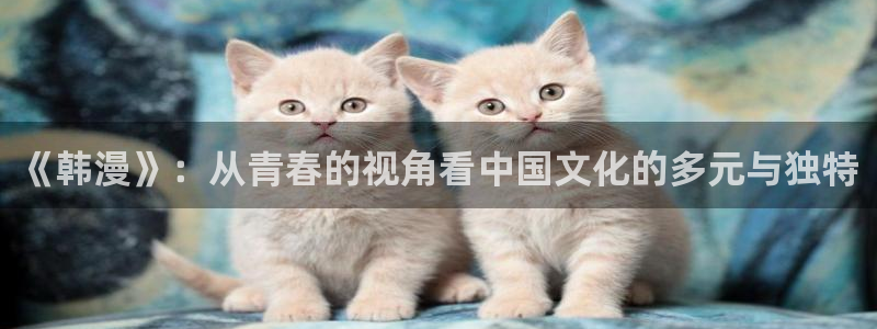 韩漫汗汗漫画网：《韩漫》：从青春的视角看中国文化的多元与独特