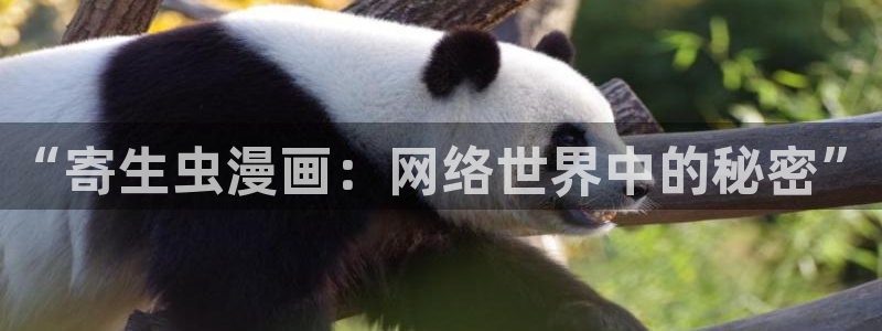 汗汗漫画私密教学：“寄生虫漫画：网络世界中的秘密”