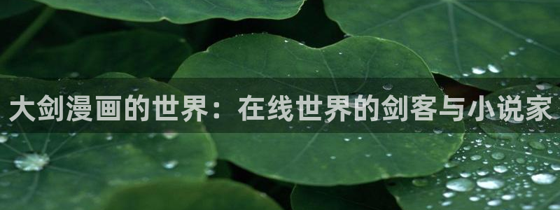 汗汗漫画中国漫画网：大剑漫画的世界：在线世界的剑客与小说家