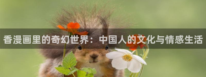 免费汗汗漫画