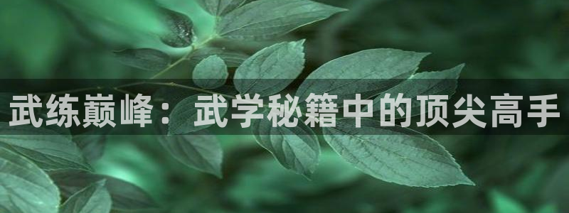 汗汗漫画最新网址：武练巅峰：武学秘籍中的顶尖高手
