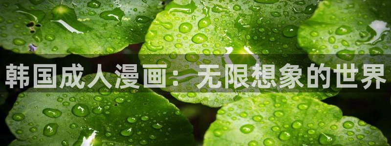 汗汗漫画在线进入入口