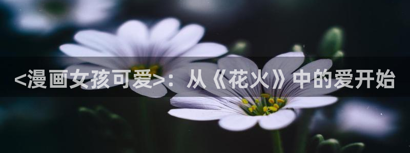 汗汗漫画韩：<漫画女孩可爱>：从《花火》中的爱开始