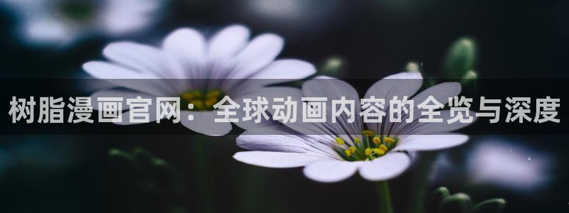 汗汗漫画――歪歪漫画51：树脂漫画官网：全球动画内容的全览与深度