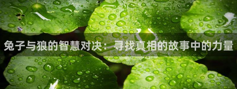 汗汗漫画成人在线：兔子与狼的智慧对决：寻找真相的故事中的力量
