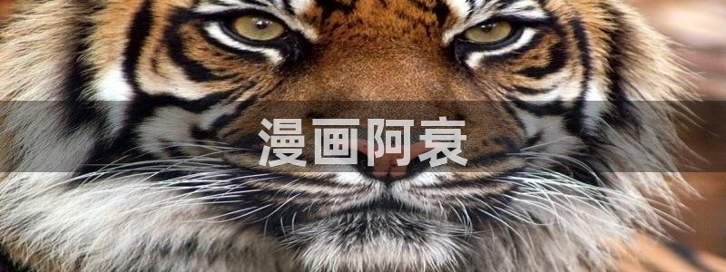 汗汗漫画下载：漫画阿衰
