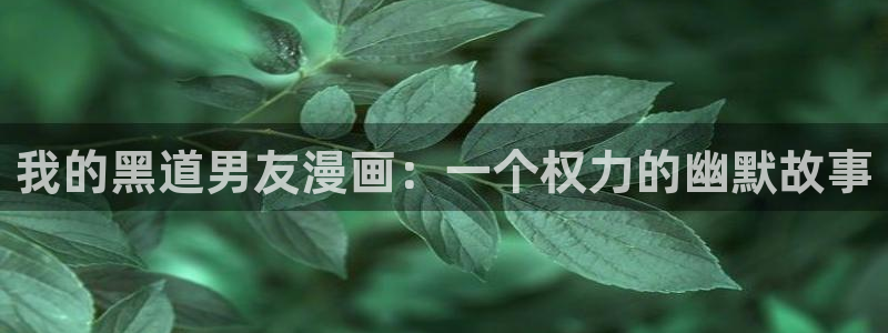 汗汗漫画免费首页：我的黑道男友漫画：一个权力的幽默故事