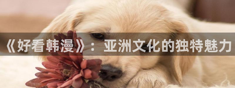 汗汗漫画在线观看免费版完整