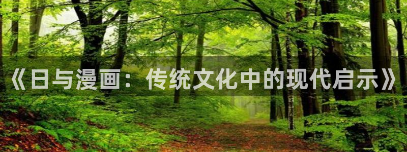 为什么汗汗漫画一直在读取中：《日与漫画：传统文化中的现代启示》