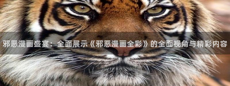 汗汗漫画地址：邪恶漫画盛宴：全面展示《邪恶漫画全彩》的全面视角与精彩内容